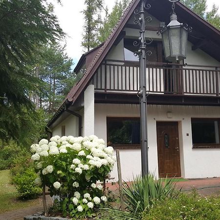 Vila Dom Nad Jeziorem Gostynin Exteriér fotografie