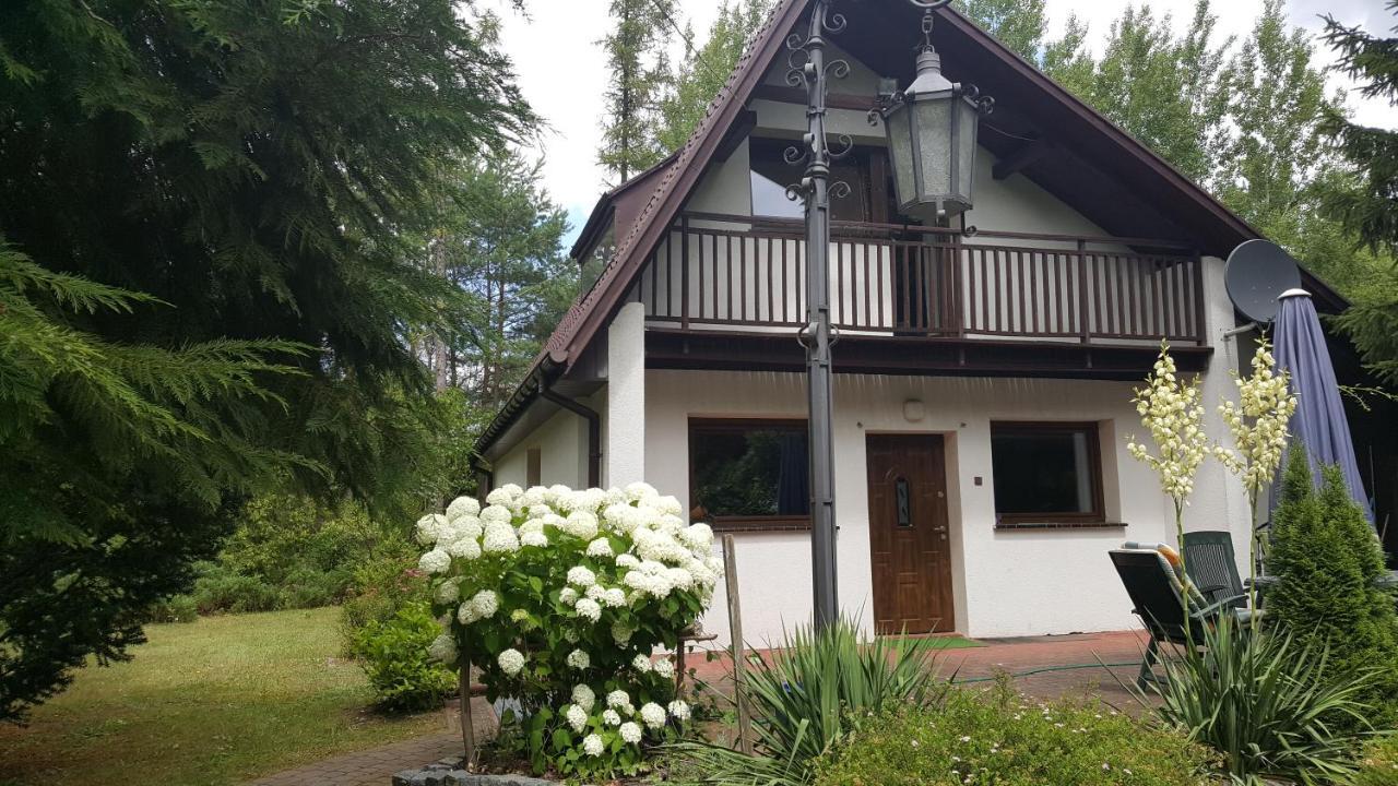 Vila Dom Nad Jeziorem Gostynin Exteriér fotografie